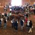 Tennessee 4-H Horse Project Youth Compete in State Horse Bowl and Hippology Contests